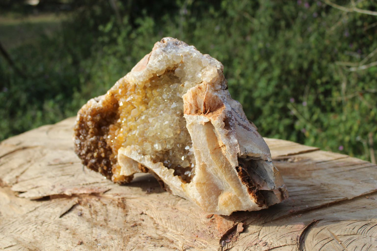 XL Limonite Quartz specimen