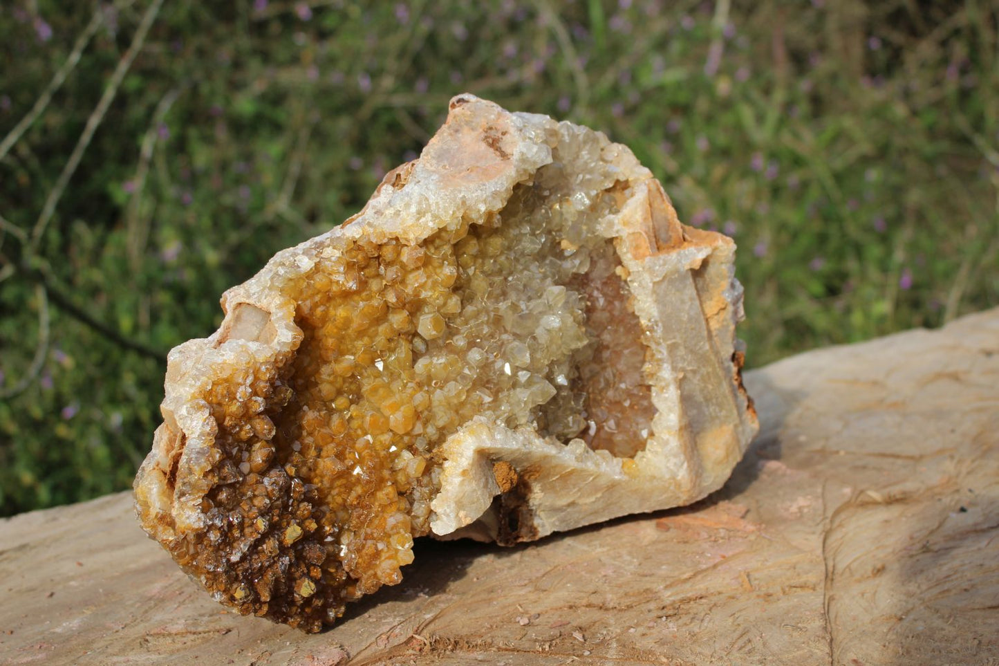 XL Limonite Quartz specimen