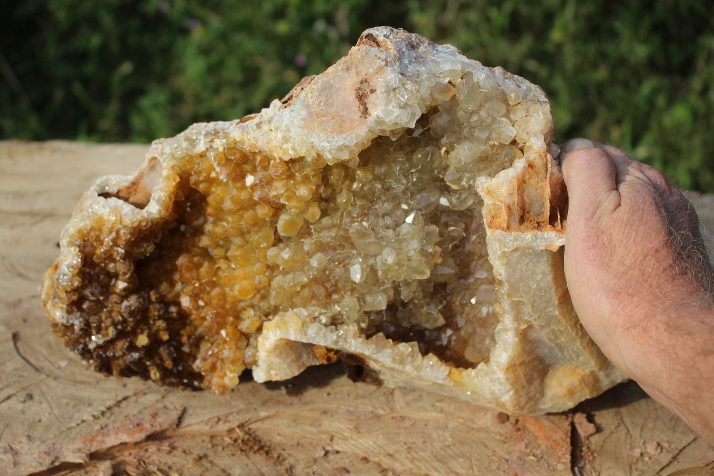 XL Limonite Quartz specimen
