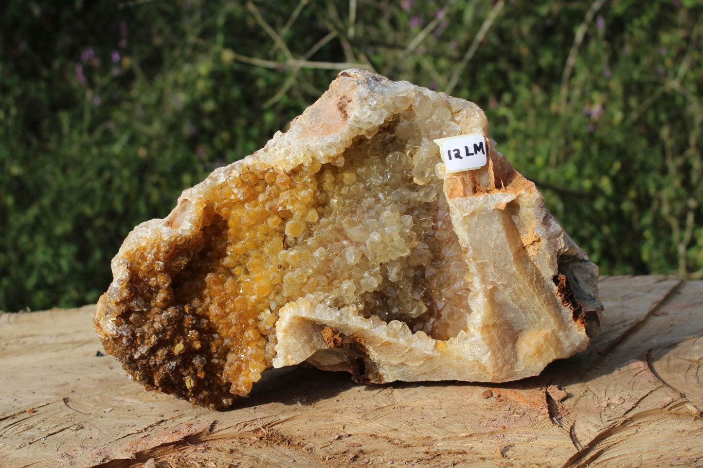XL Limonite Quartz specimen