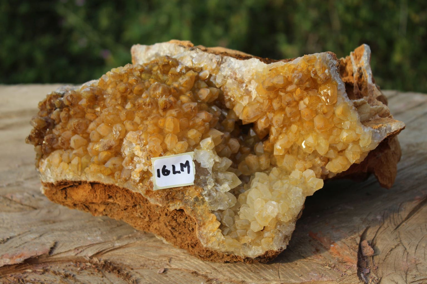 large Limonite drusy Quartz specimen