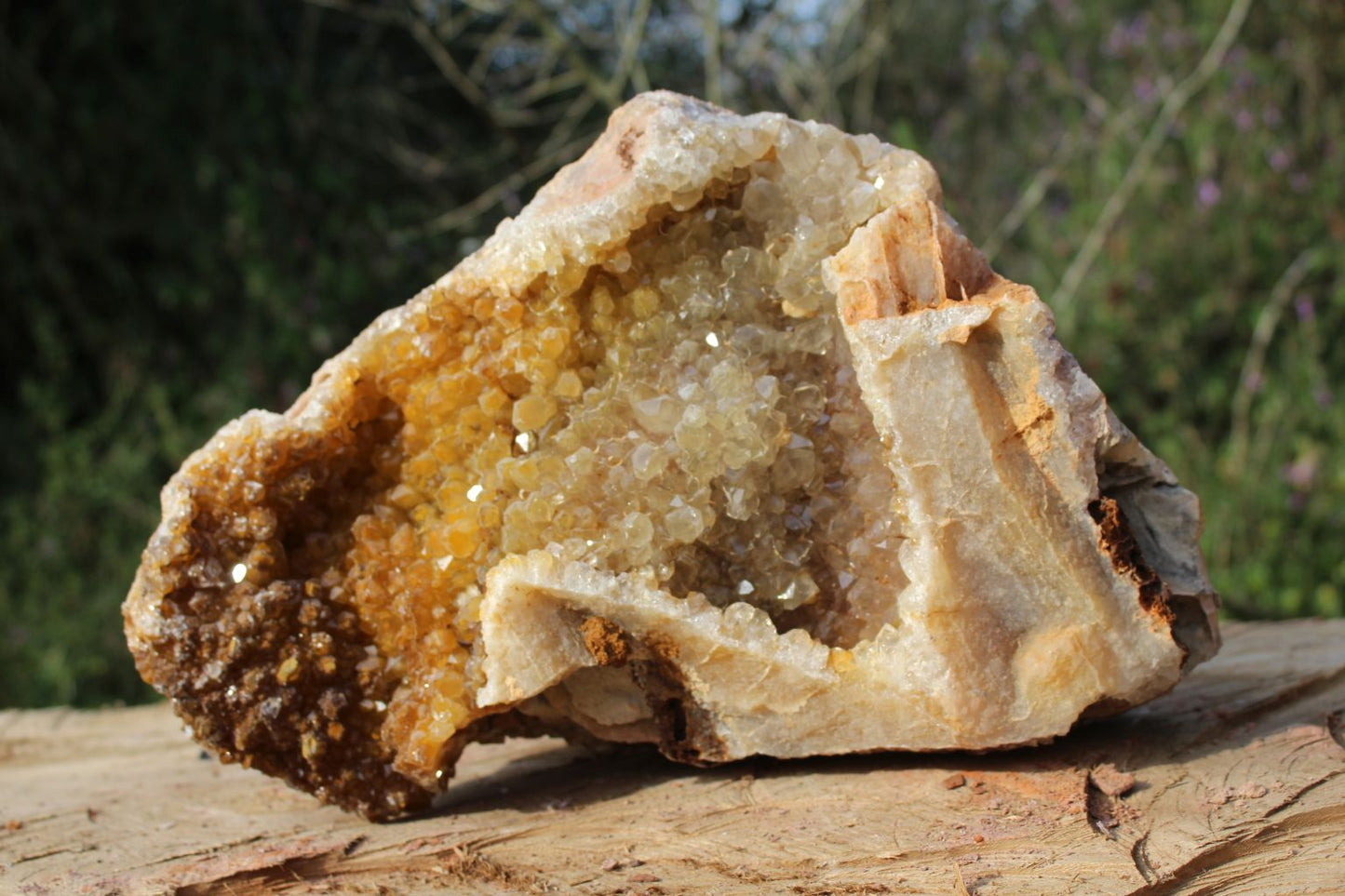 XL Limonite Quartz specimen from Zambia