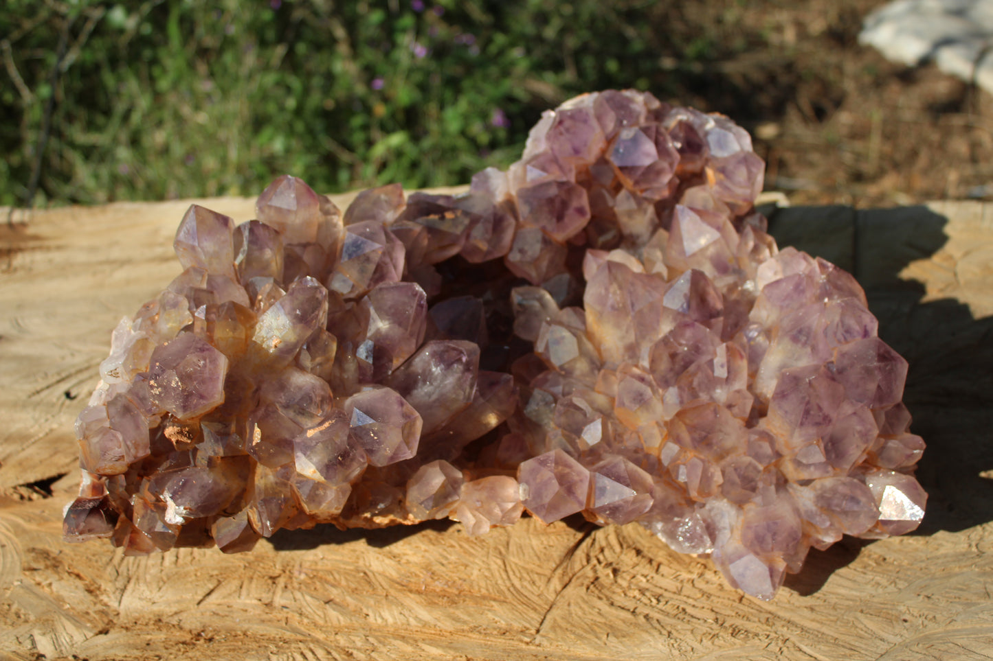 XL Zambian Amethyst crystal cluster