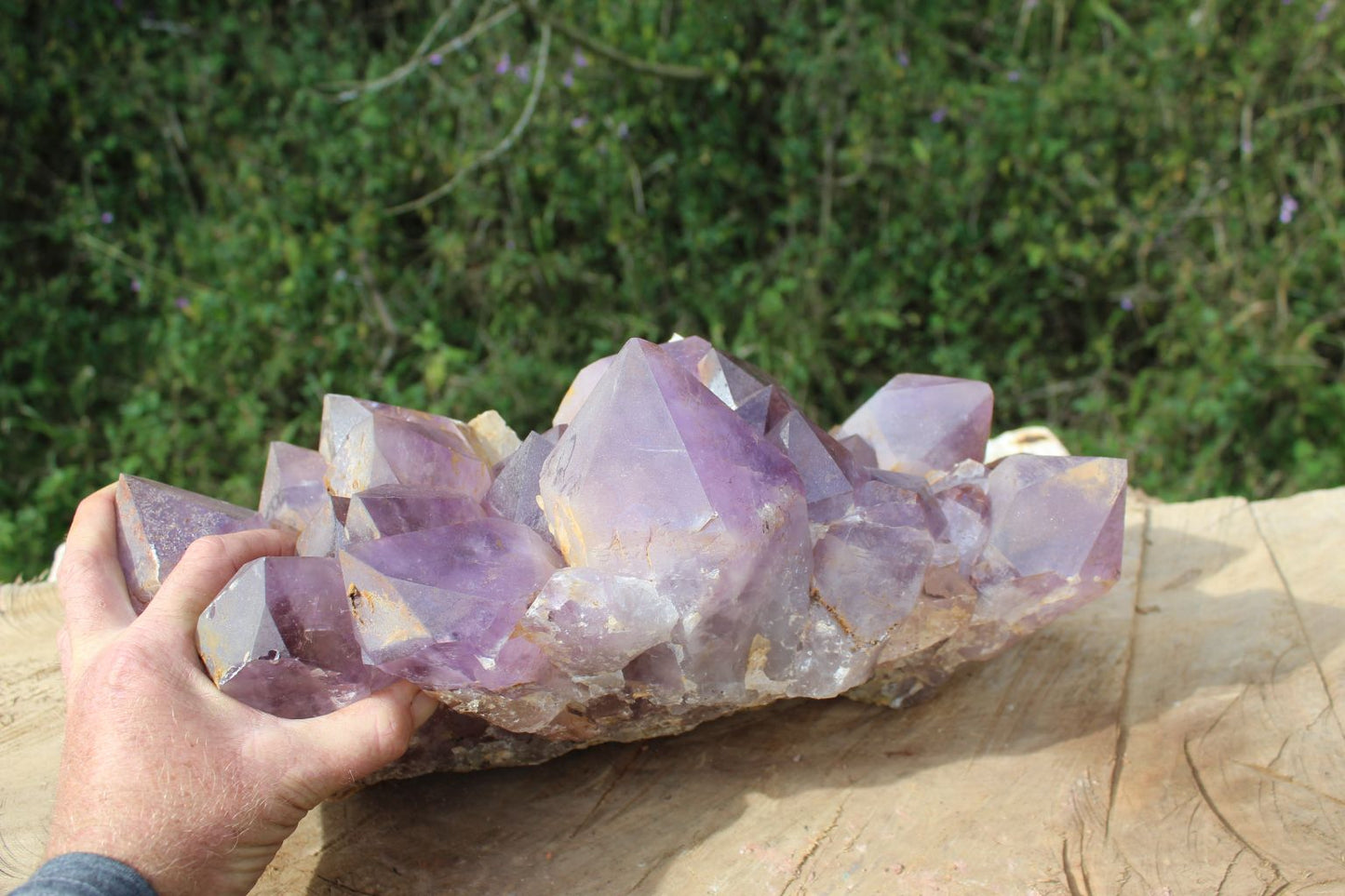 XL amethyst cluster from Mumbwa, Zambia