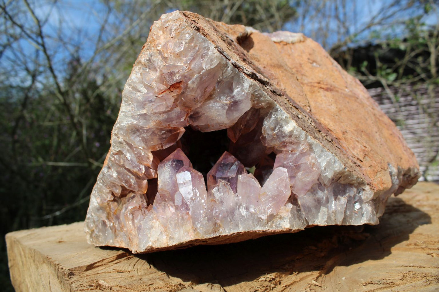 Huge Zambian Amethyst geode