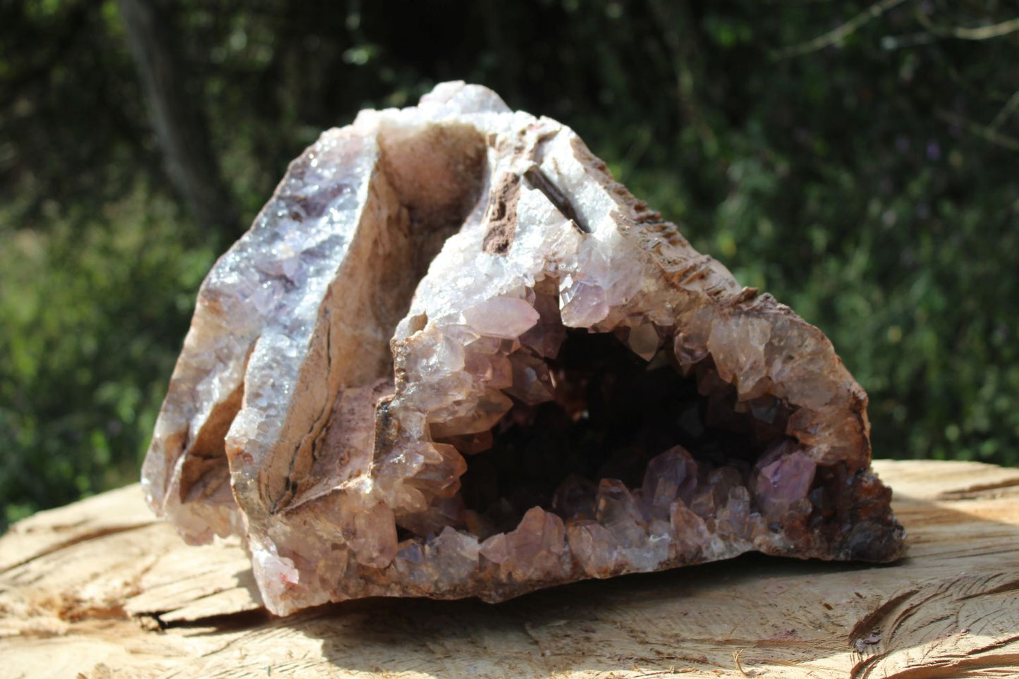 Huge Zambian Amethyst geode