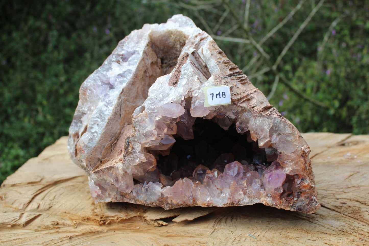 Huge Zambian Amethyst geode