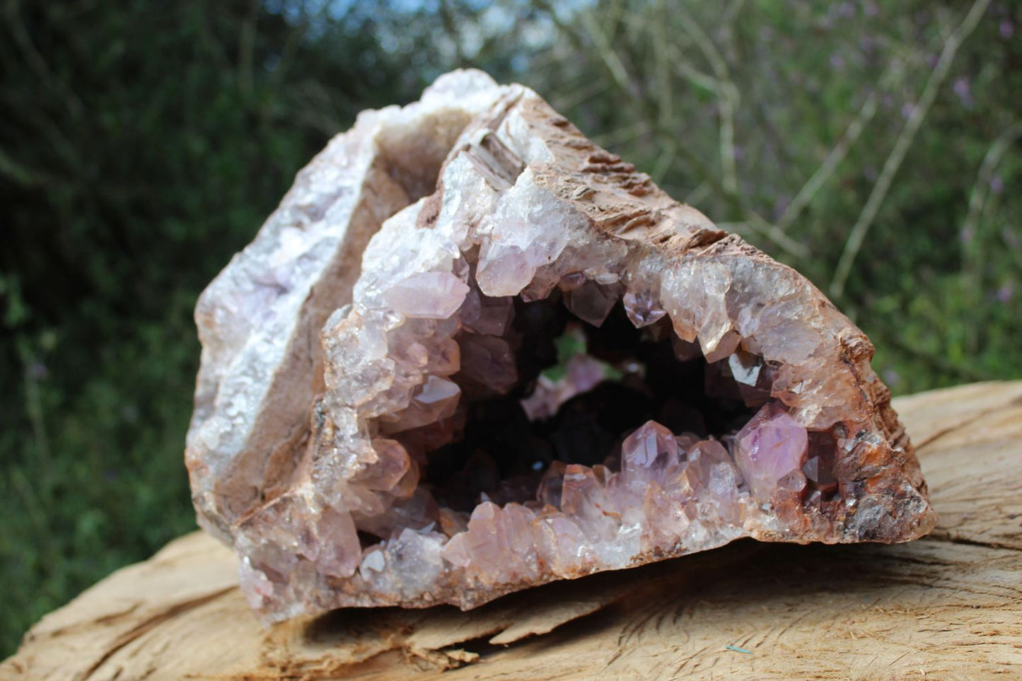 Huge Zambian Amethyst geode