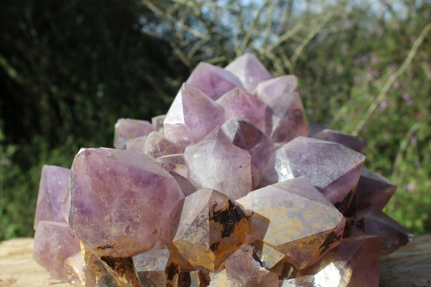Extra large Zambian quartz crystal cluster