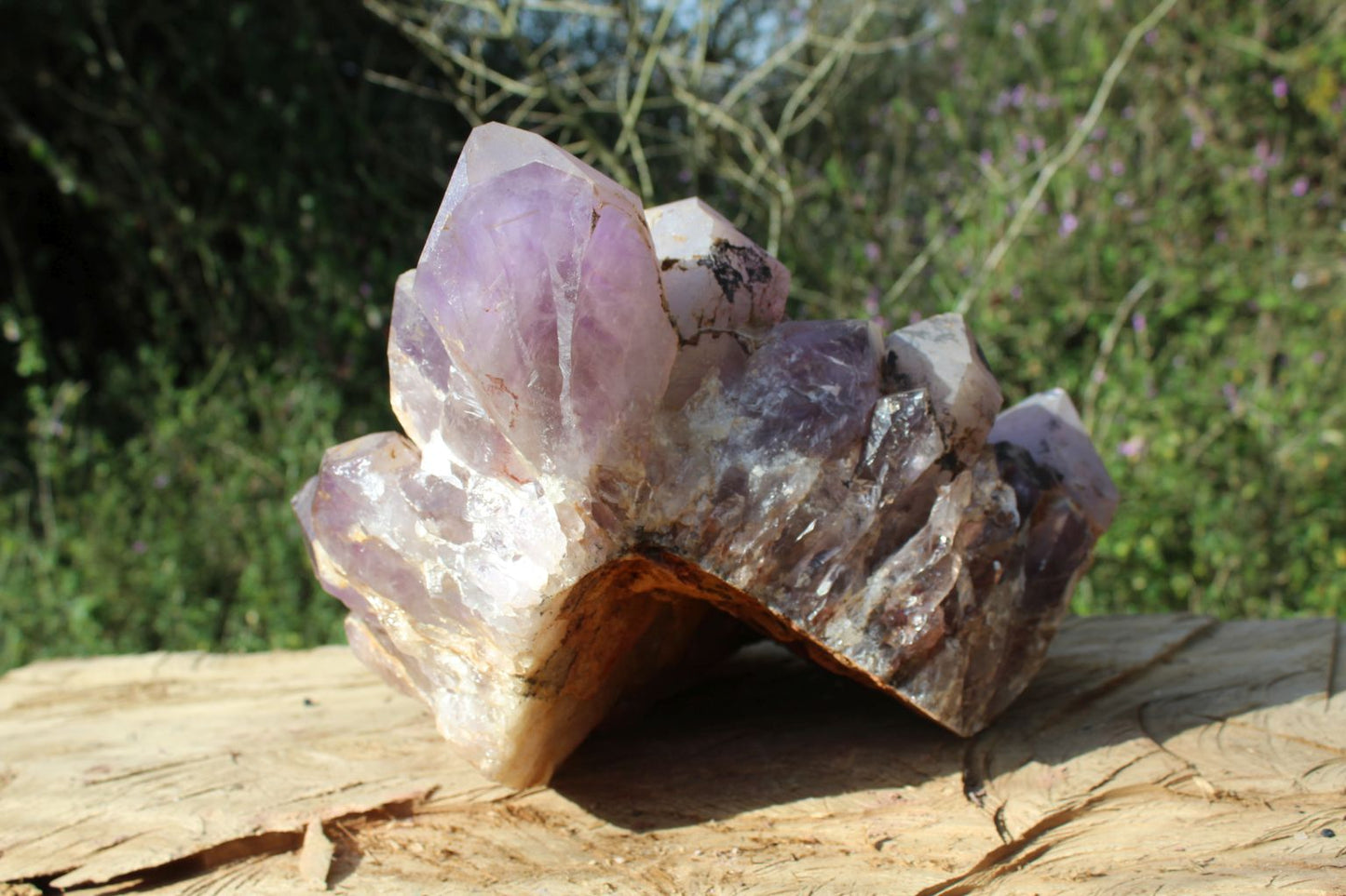 Extra large Zambian quartz crystal cluster