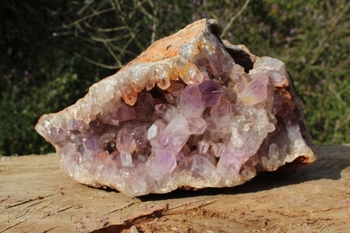 Zambian Amethyst geode extra large