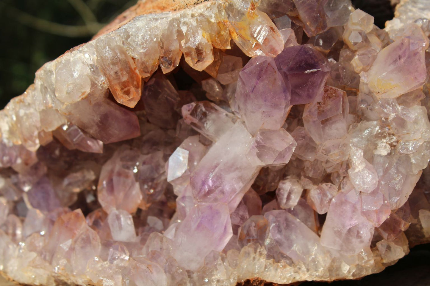 Zambian Amethyst geode extra large