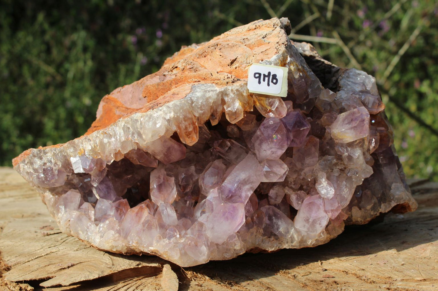 Zambian Amethyst geode extra large