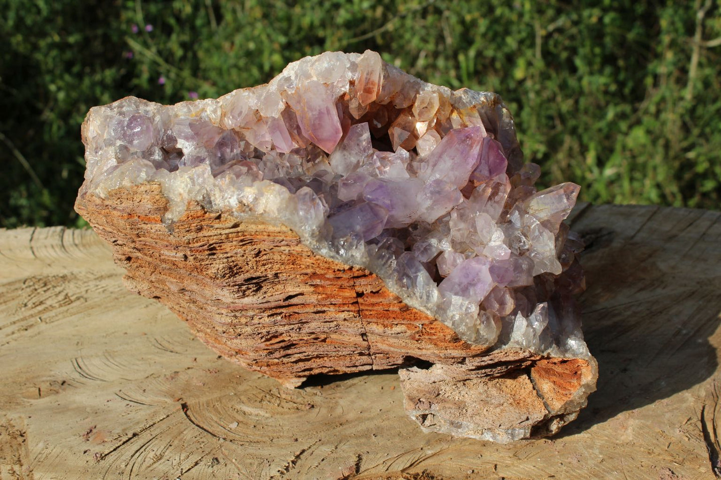 Zambian Amethyst geode extra large