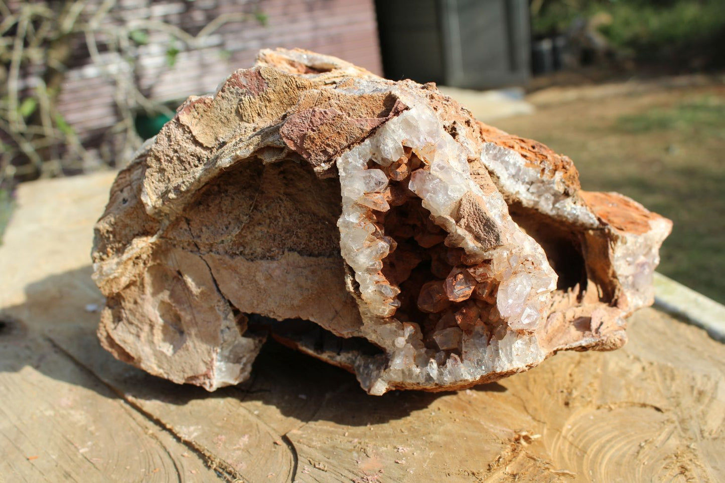 Zambian Amethyst geode extra large
