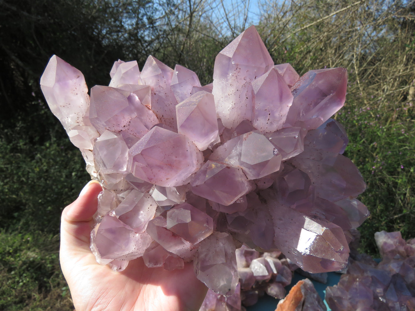 Mumba Amethyst Zambia wholesale per kg