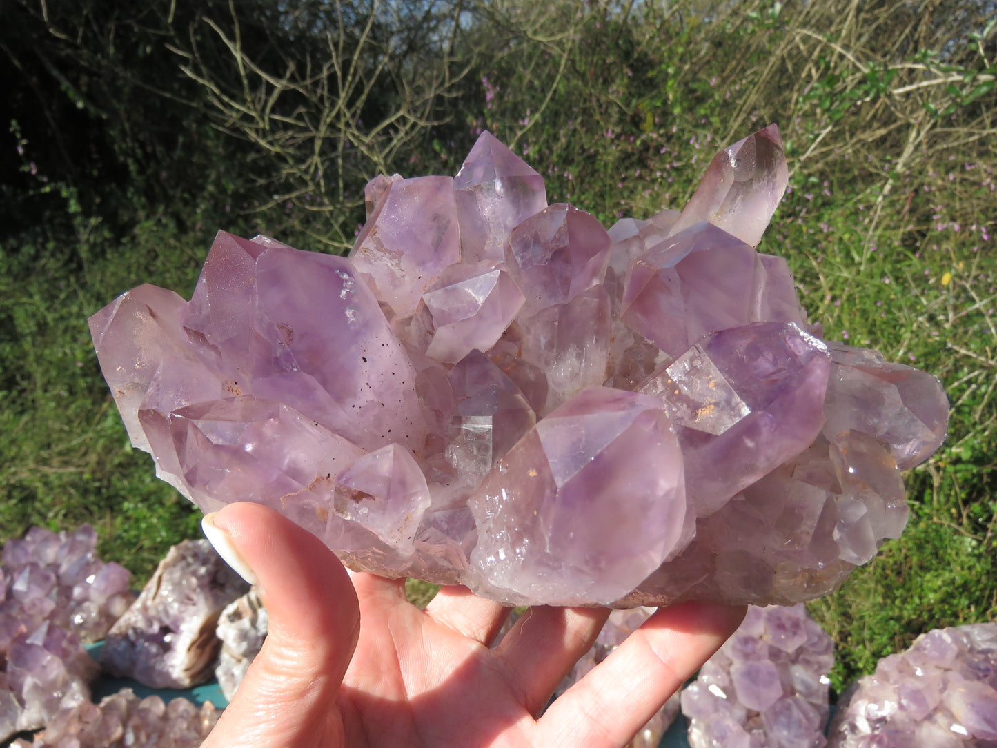 Mumba Amethyst Zambia wholesale per kg