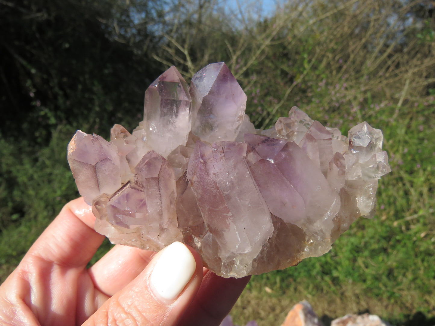 Mumba Amethyst Zambia wholesale per kg