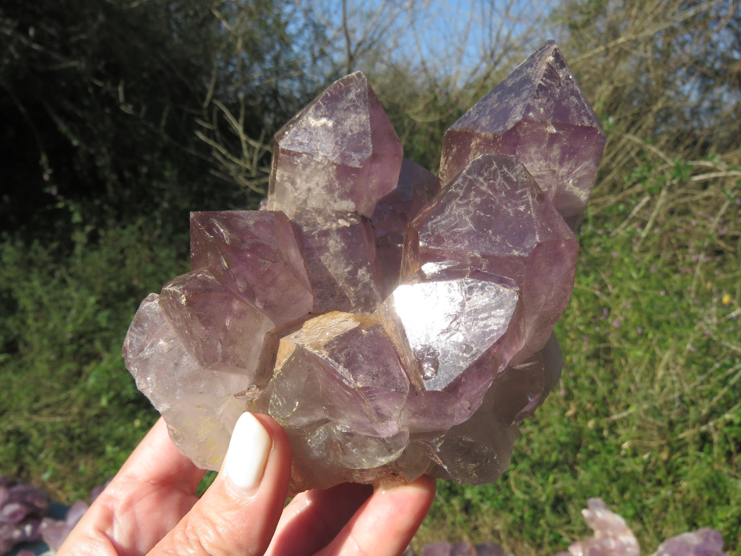 Mumba Amethyst Zambia wholesale per kg
