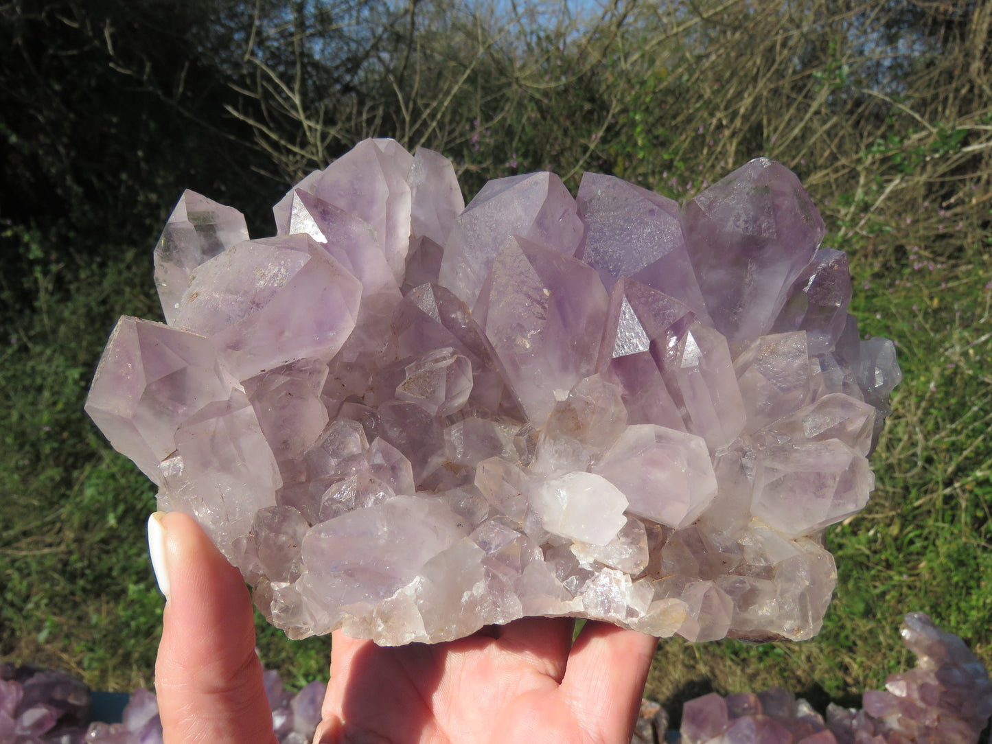 Mumba Amethyst Zambia wholesale per kg