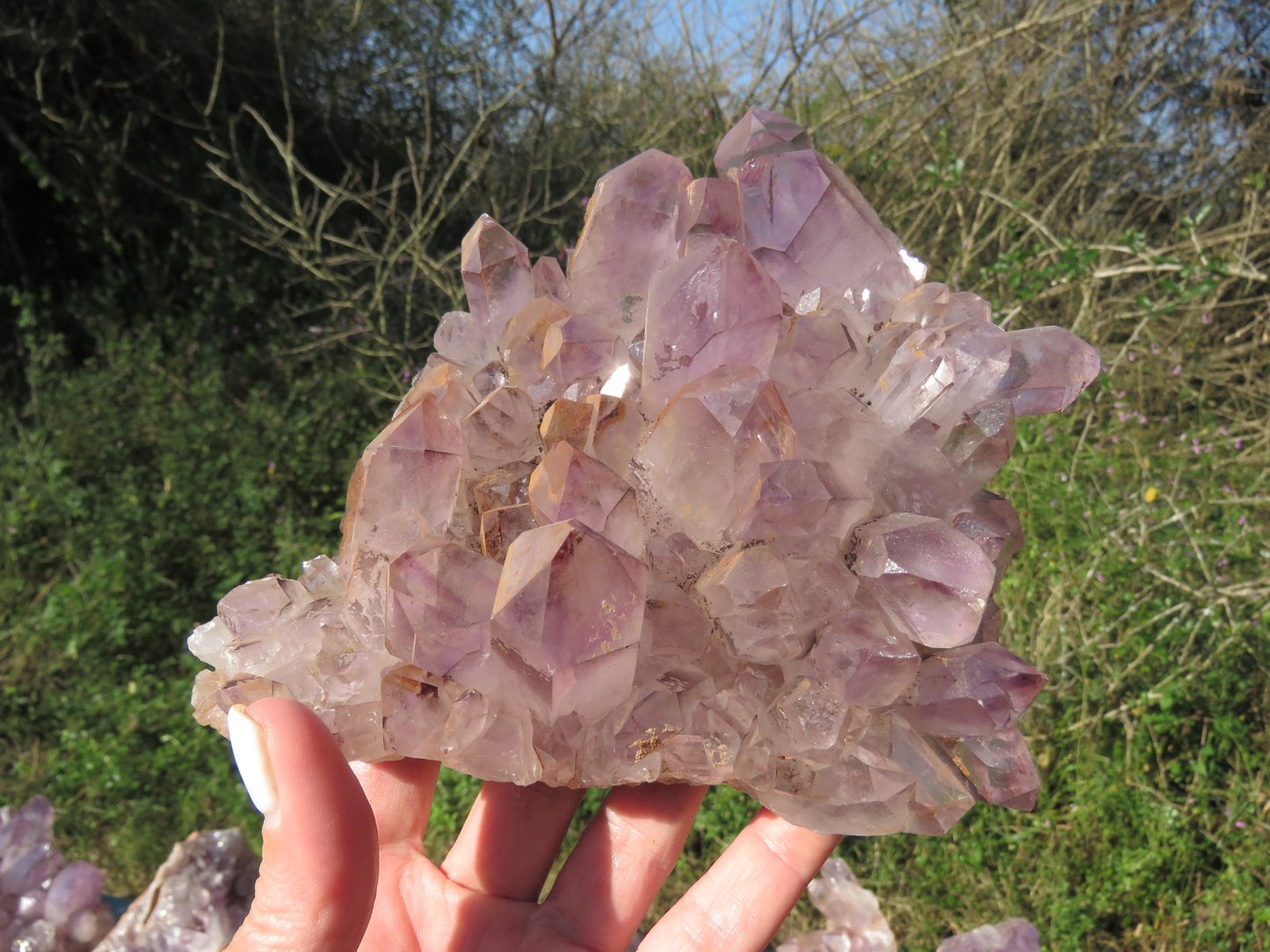 Mumba Amethyst Zambia wholesale per kg