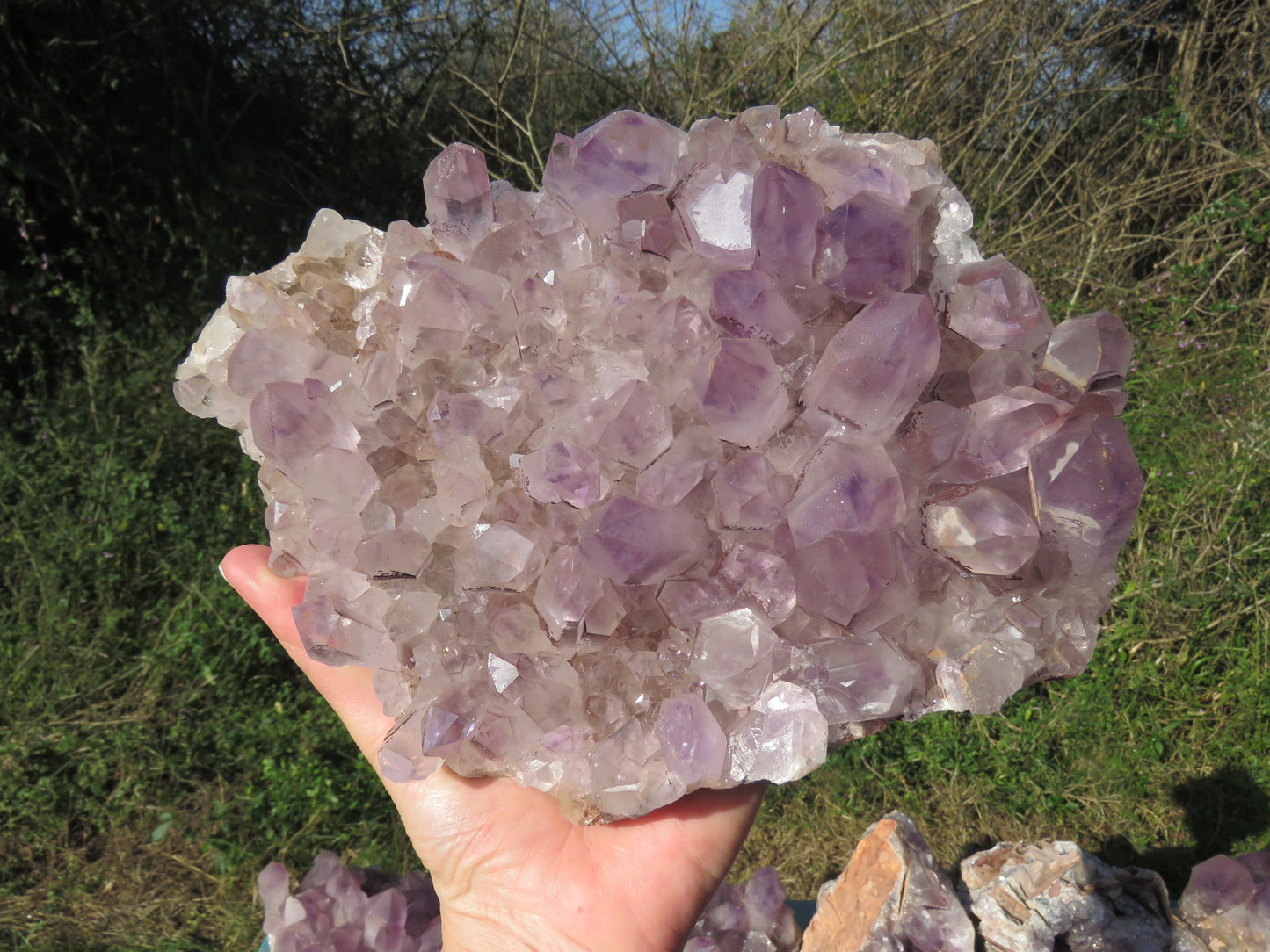 Mumba Amethyst Zambia wholesale per kg