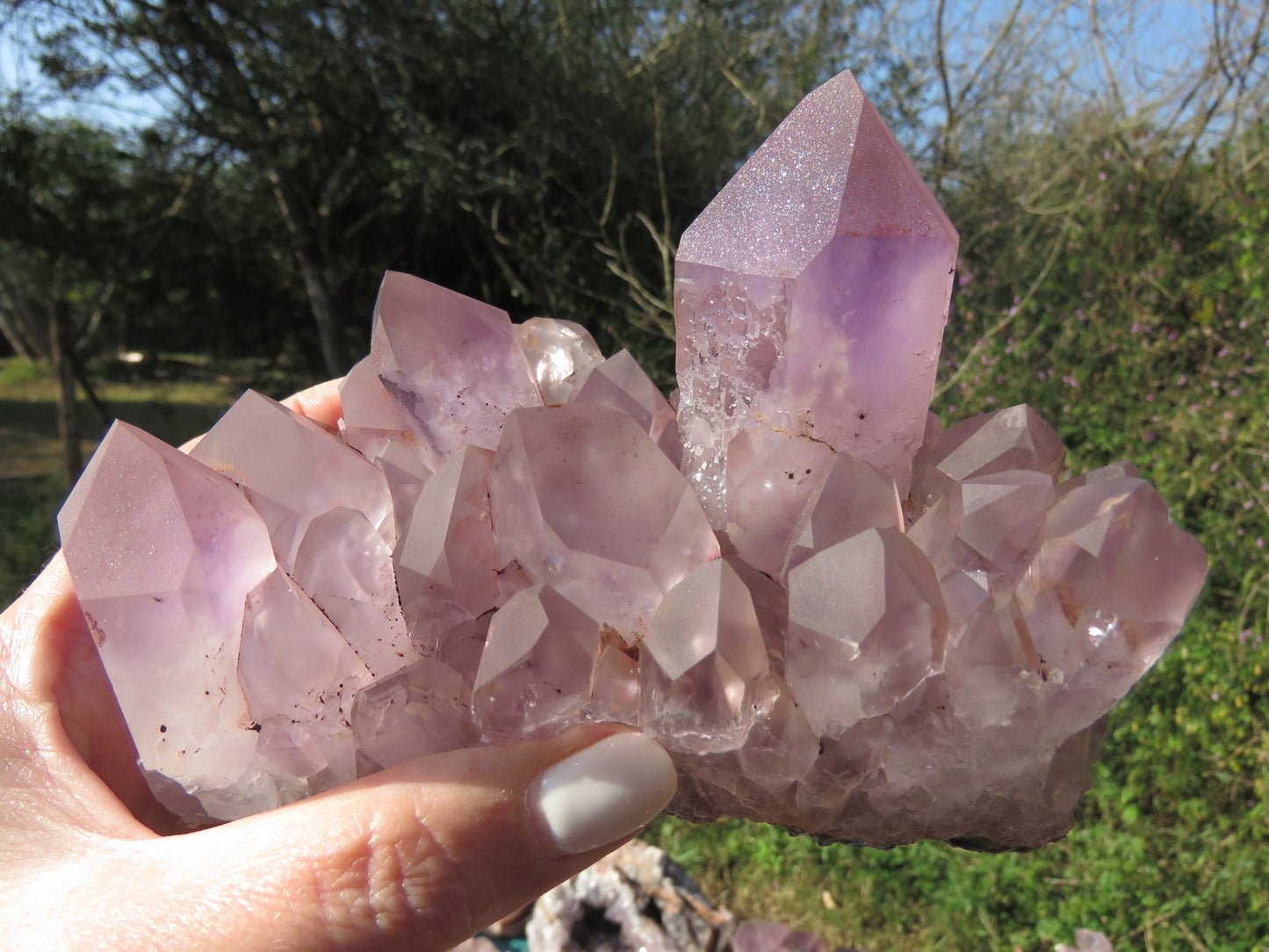 Mumba Amethyst Zambia wholesale per kg