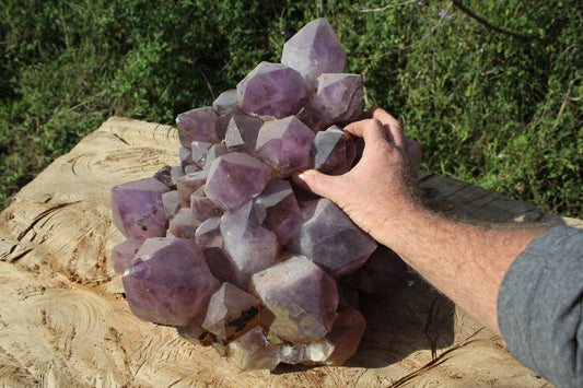 Extra large Zambian quartz crystal cluster