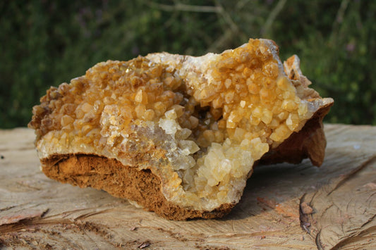 large Limonite drusy Quartz specimen