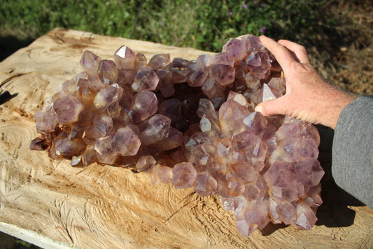XL Zambian Amethyst crystal cluster 