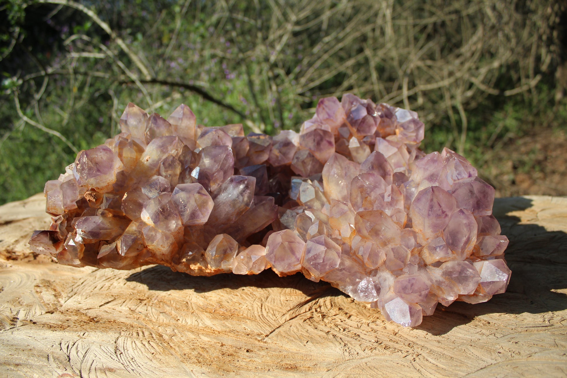 XL Zambian Amethyst crystal cluster 