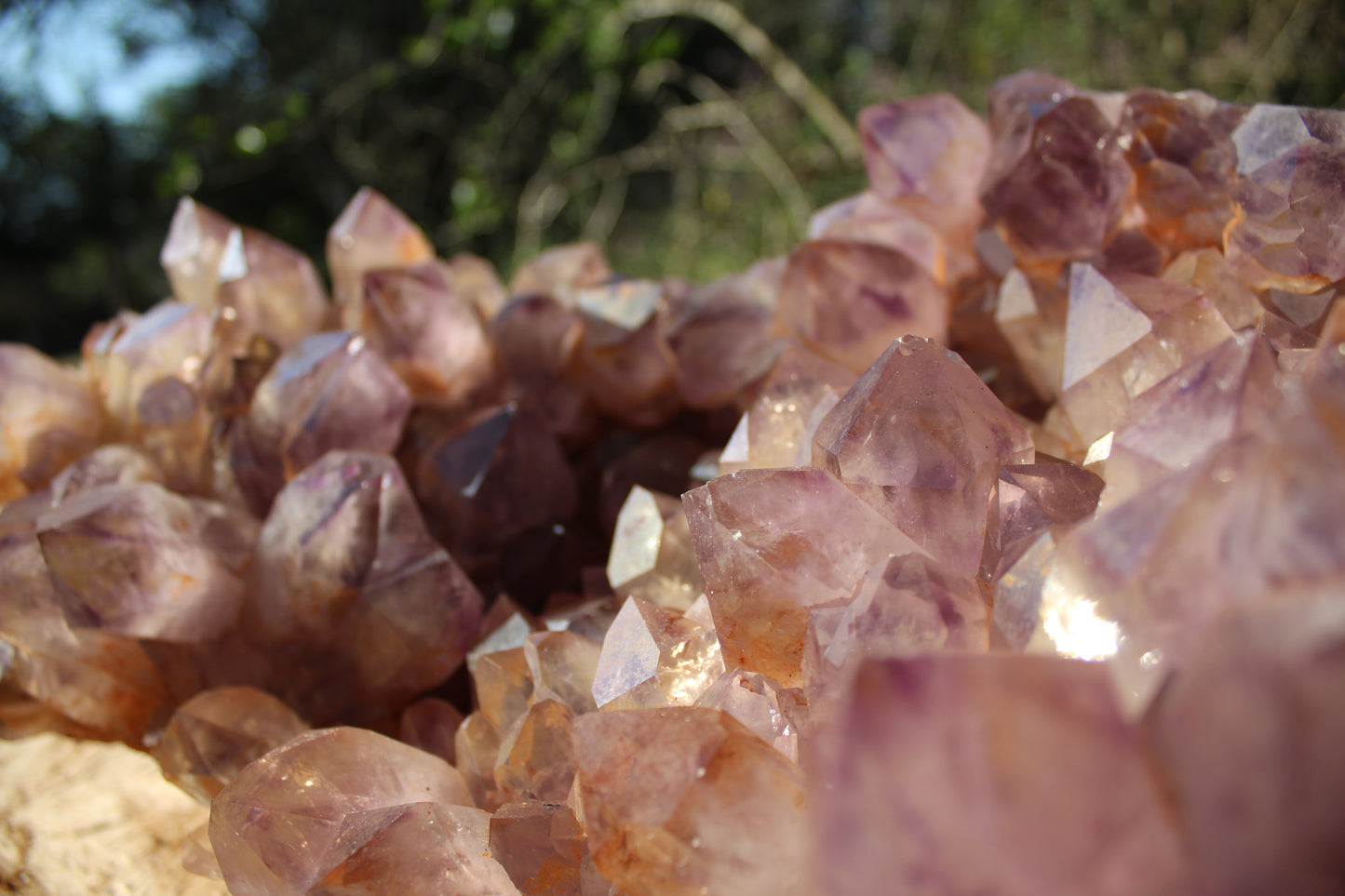 XL Zambian Amethyst crystal cluster 