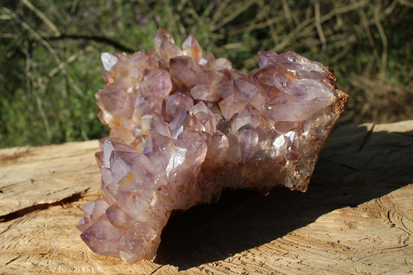 XL Zambian Amethyst crystal cluster 