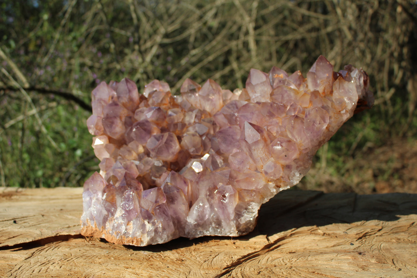 XL Zambian Amethyst crystal cluster 