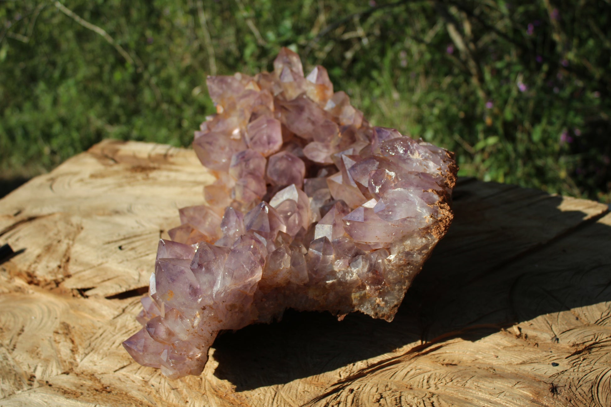 XL Zambian Amethyst crystal cluster 