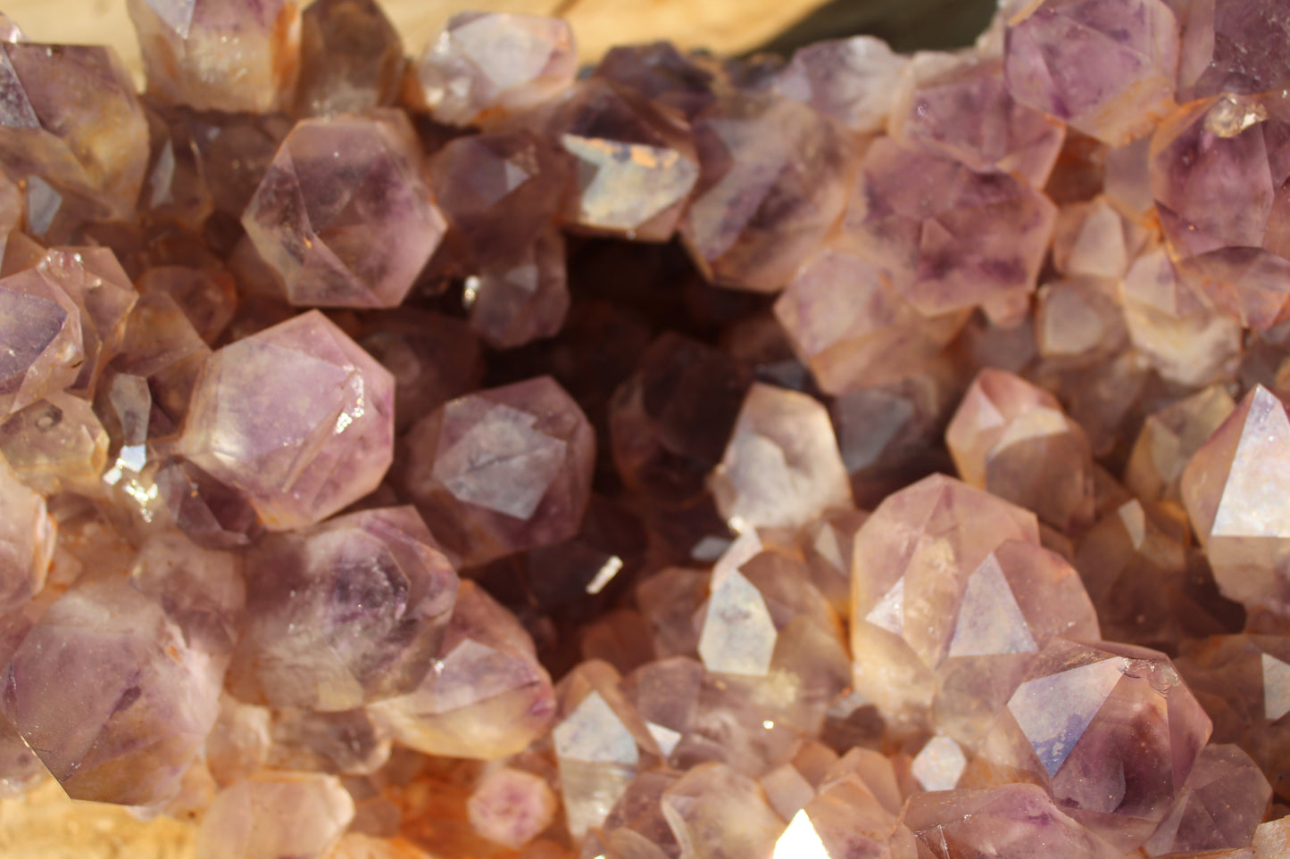 XL Zambian Amethyst crystal cluster 