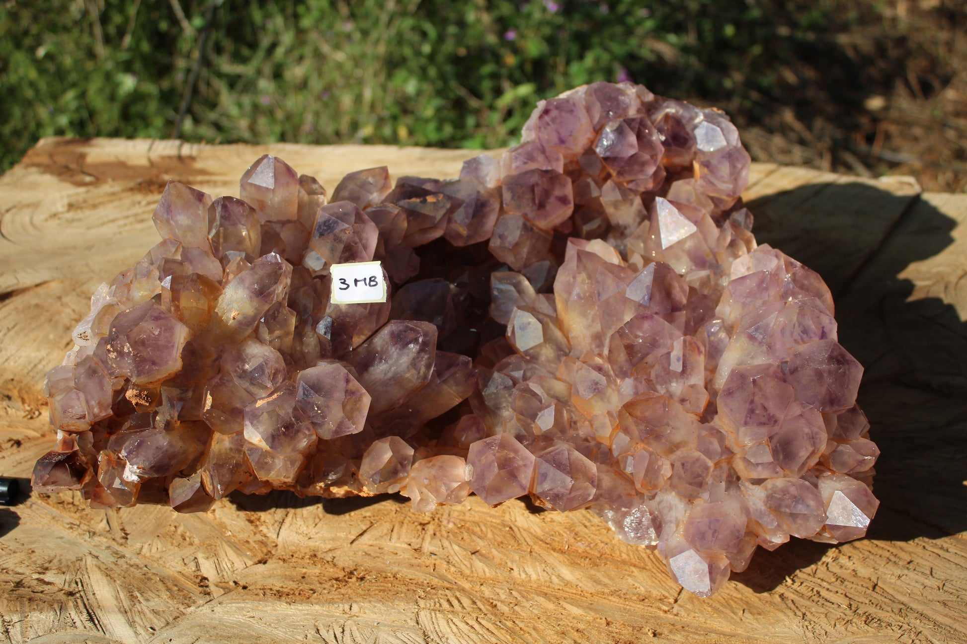 XL Zambian Amethyst crystal cluster 