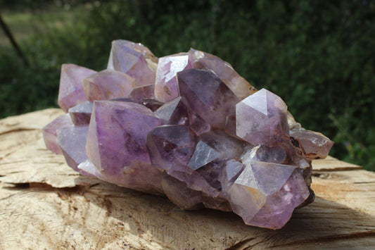 XL amethyst cluster from Mumbwa, Zambia