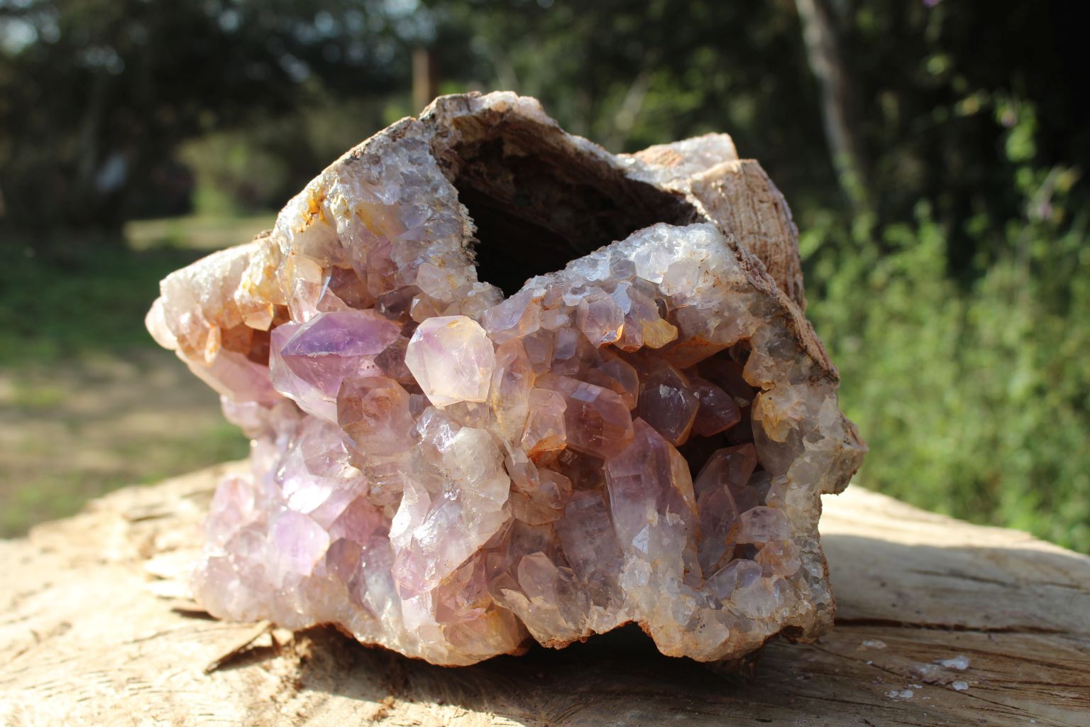 Zambian Amethyst geode extra large