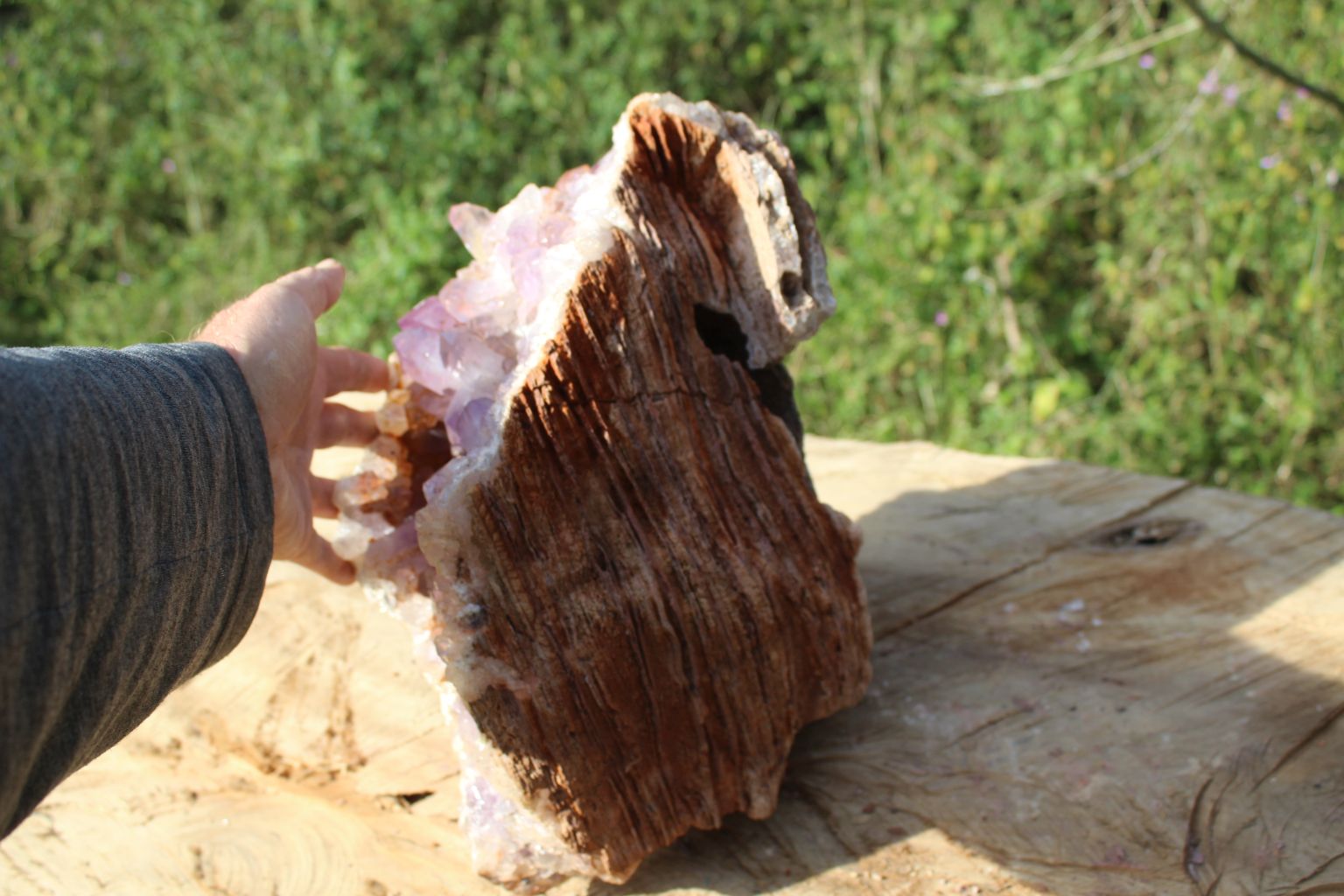 Zambian Amethyst geode extra large